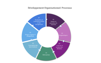 Audit et Développement Organisationnel